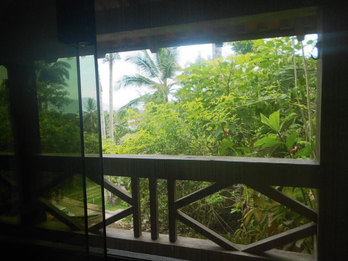 Chalet Candy 1